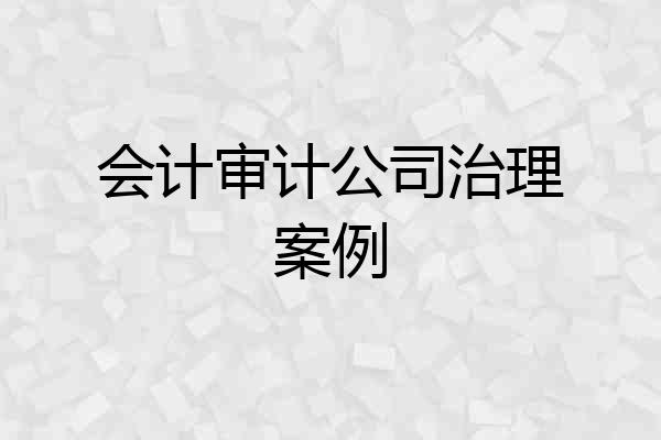 会计审计公司治理案例
