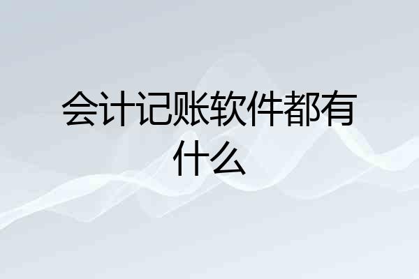 会计记账软件都有什么