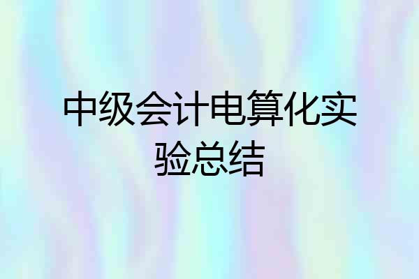 中级会计电算化实验总结
