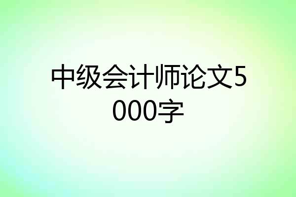 中级会计师论文5000字