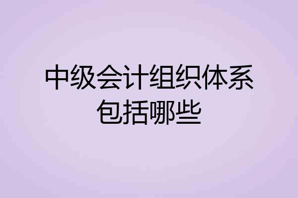 中级会计组织体系包括哪些