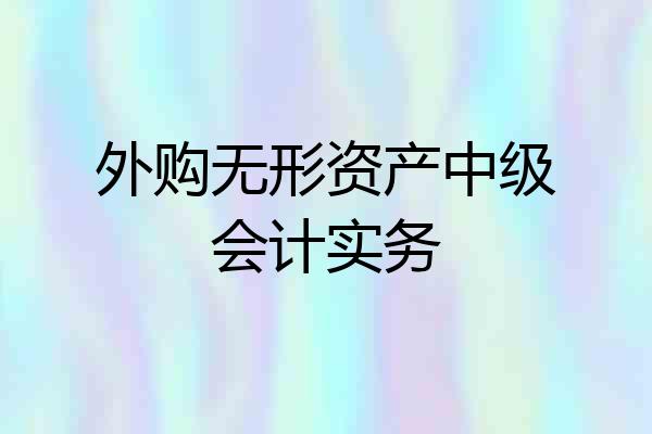 外购无形资产中级会计实务