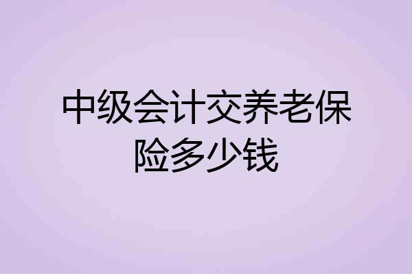 中级会计交养老保险多少钱