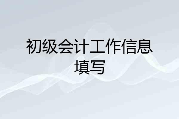 初级会计工作信息填写
