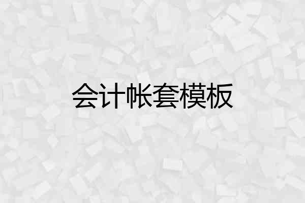 会计帐套模板