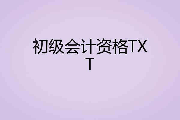 初级会计资格TXT