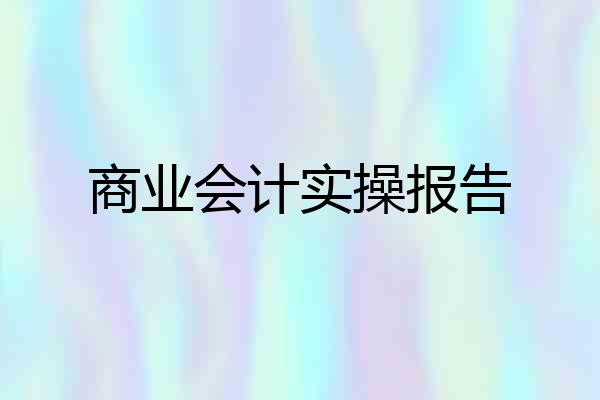 商业会计实操报告