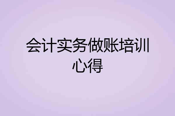 会计实务做账培训心得