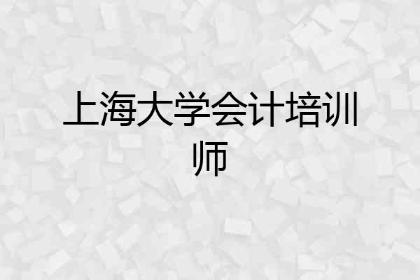 上海大学会计培训师