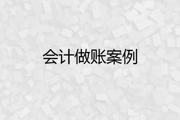 会计做账案例