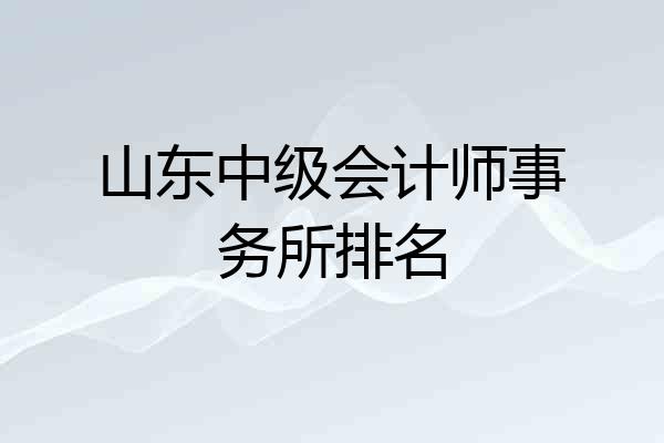 山东中级会计师事务所排名