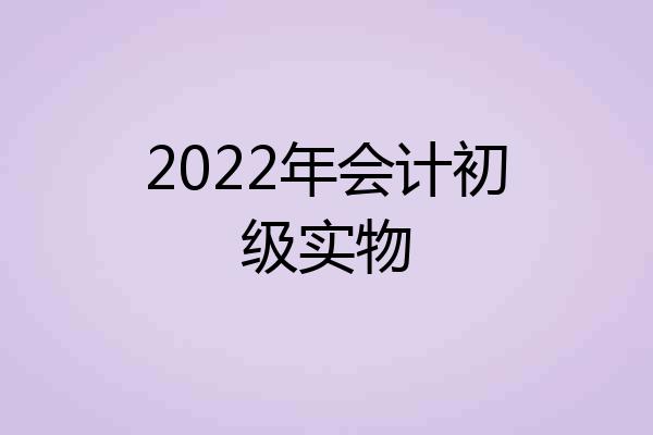 2022年会计初级实物
