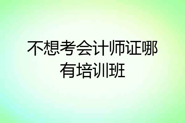 不想考会计师证哪有培训班