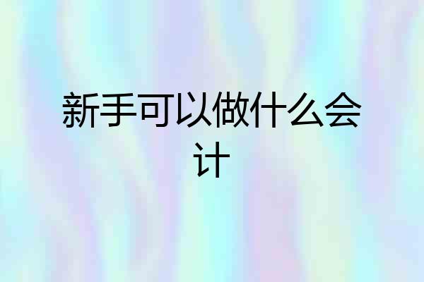 新手可以做什么会计