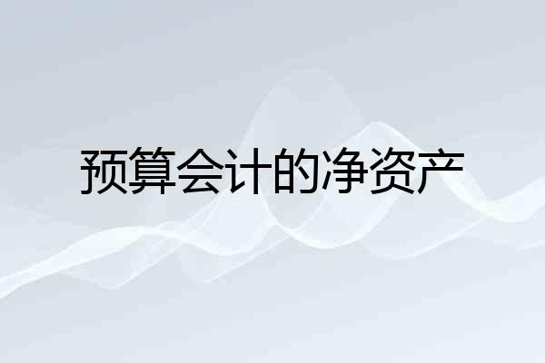 预算会计的净资产