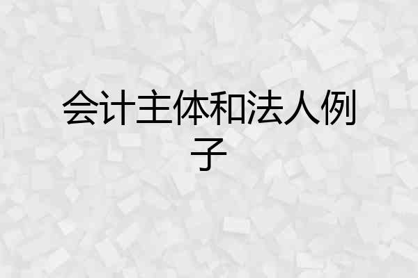 会计主体和法人例子