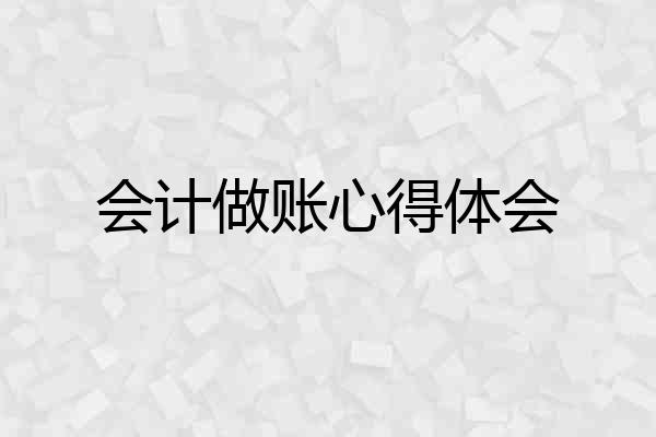 会计做账心得体会