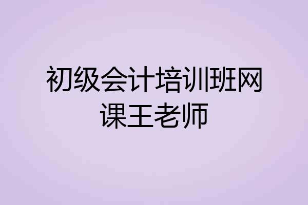 初级会计培训班网课王老师