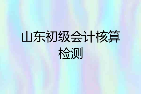 山东初级会计核算检测