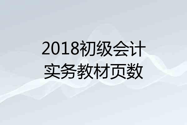 2018初级会计实务教材页数