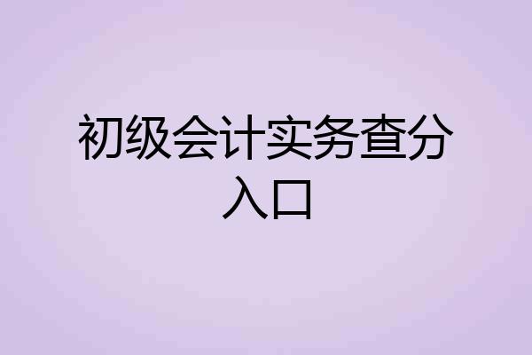 初级会计实务查分入口