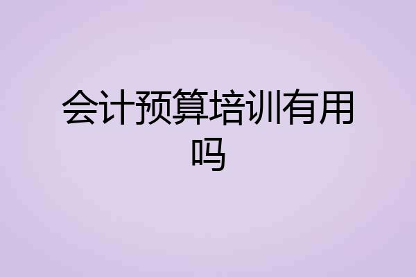 会计预算培训有用吗