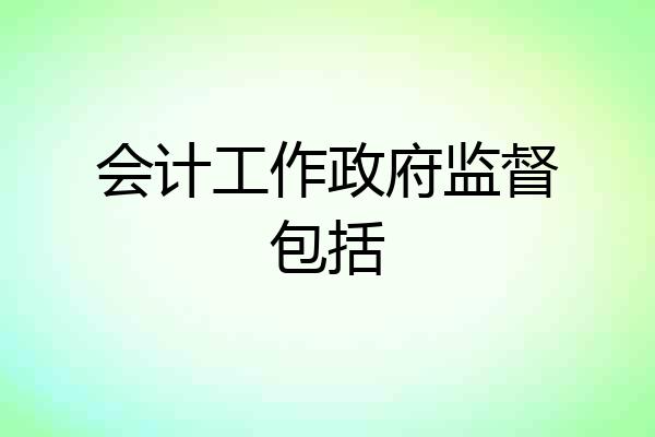 会计工作政府监督包括