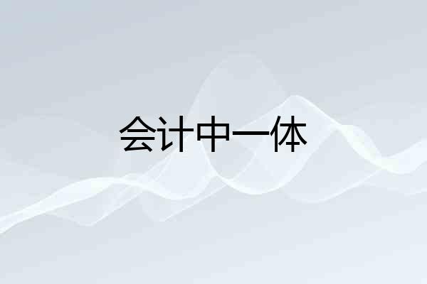 会计中一体