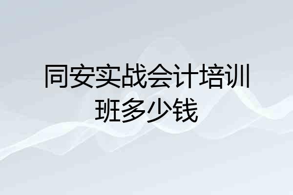 同安实战会计培训班多少钱