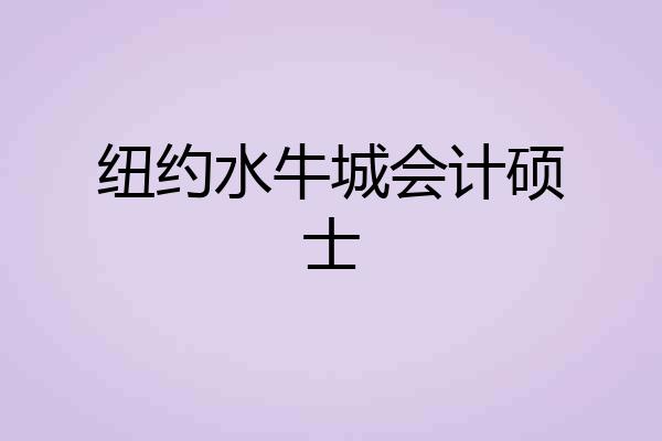 纽约水牛城会计硕士
