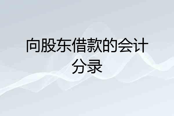 向股东借款的会计分录