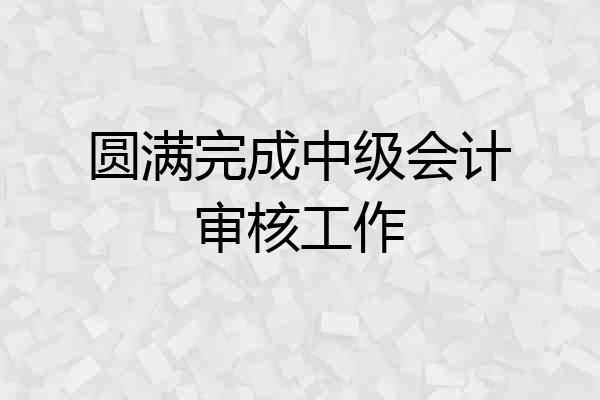 圆满完成中级会计审核工作