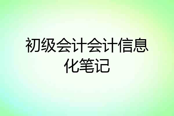 初级会计会计信息化笔记