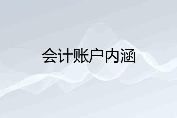 会计账户内涵