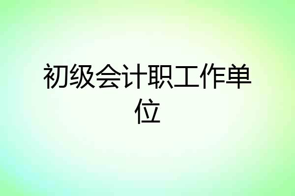 初级会计职工作单位