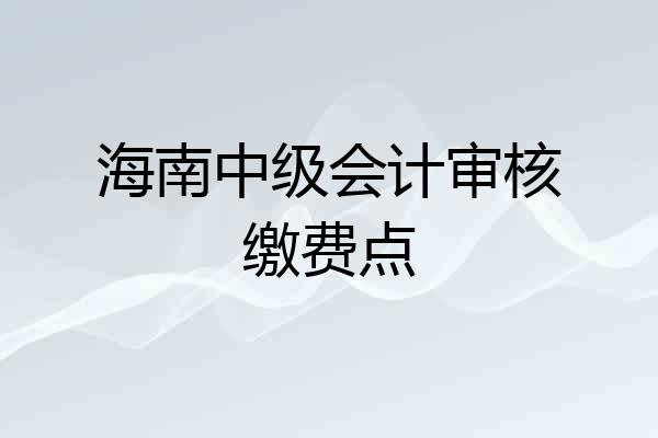海南中级会计审核缴费点