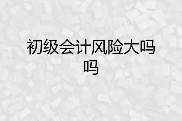 初级会计风险大吗吗