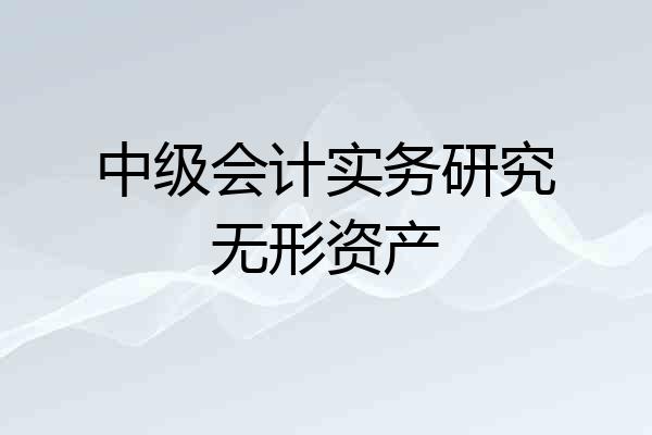中级会计实务研究无形资产