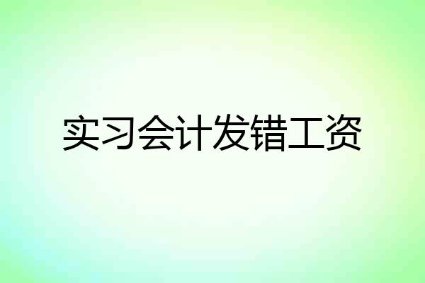 实习会计发错工资