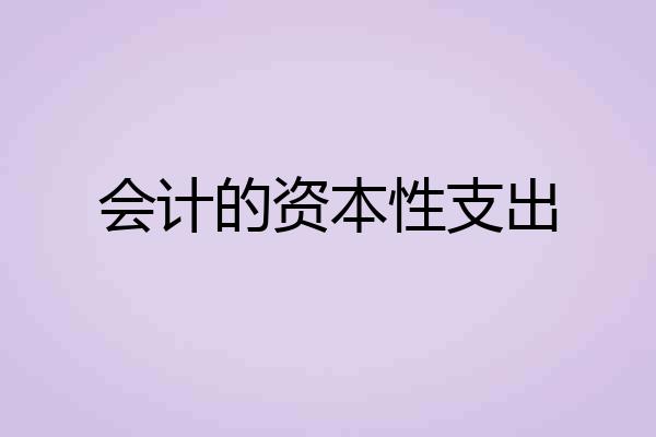 会计的资本性支出