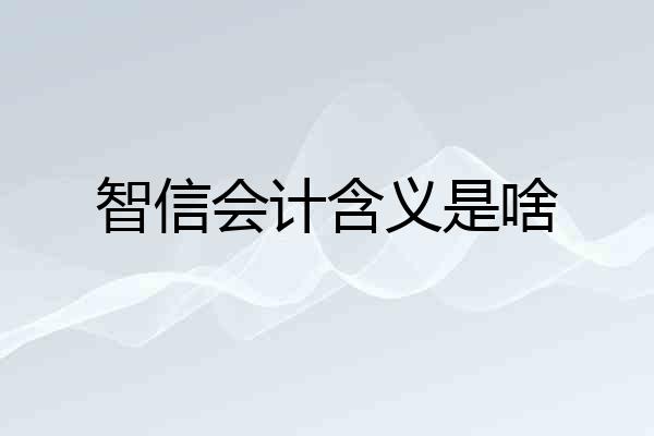 智信会计含义是啥