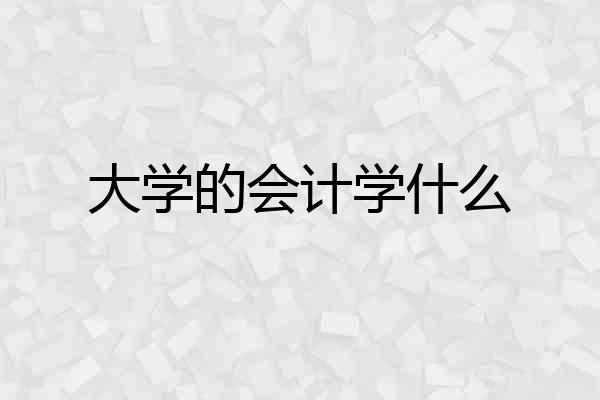大学的会计学什么
