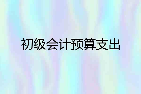 初级会计预算支出