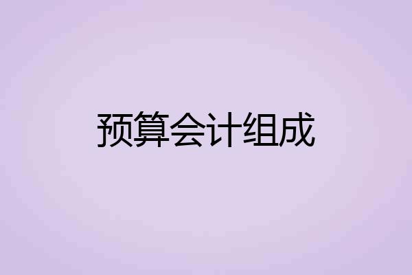 预算会计组成
