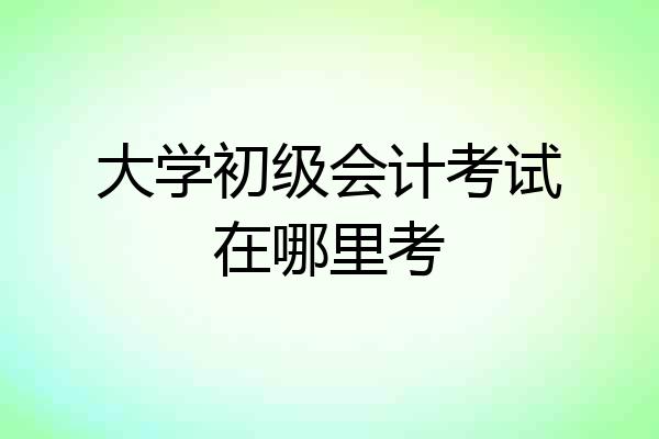 大学初级会计考试在哪里考