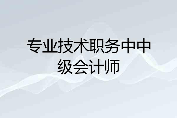 专业技术职务中中级会计师