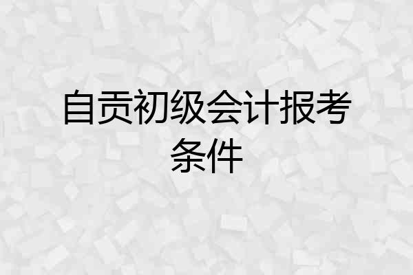 自贡初级会计报考条件