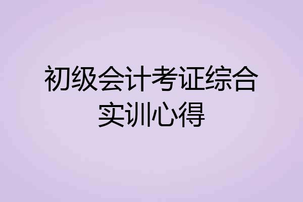 初级会计考证综合实训心得