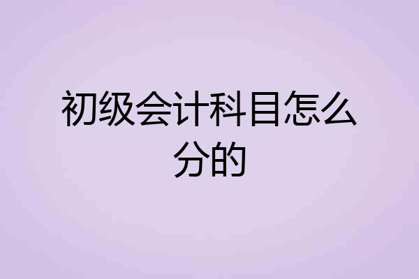 初级会计科目怎么分的