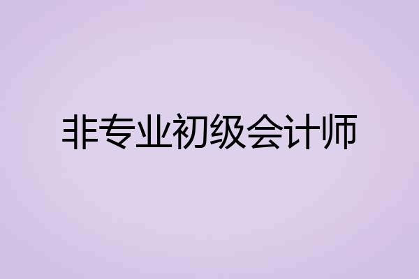 非专业初级会计师